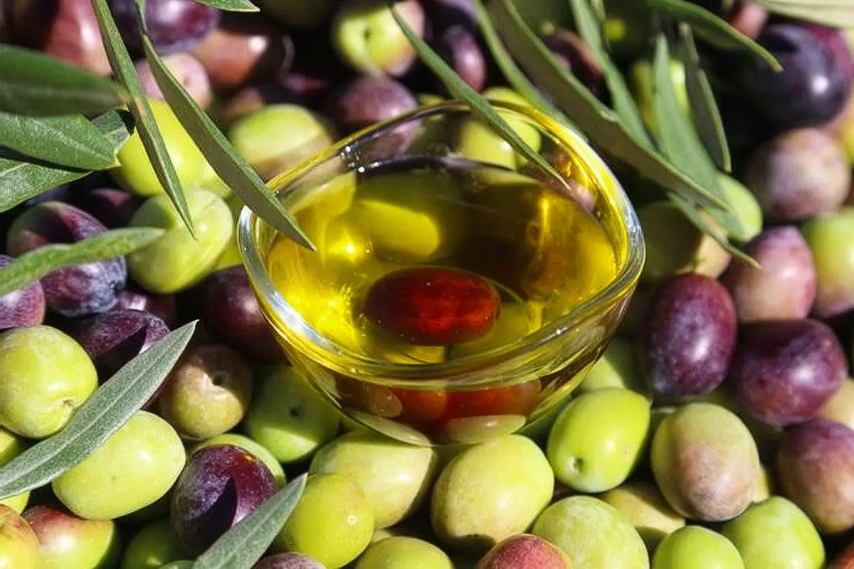 Baktat Zeytin Firması 3 Aylık Geçici Konkordato ile İcra ve Hacizden Korundu