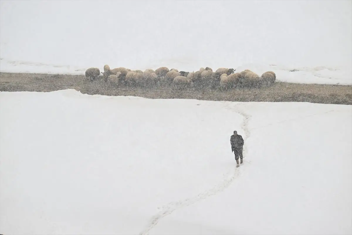 Van'ın Çatak İlçesinde Bahar Ayında Şaşırtıcı Kar Yağışı