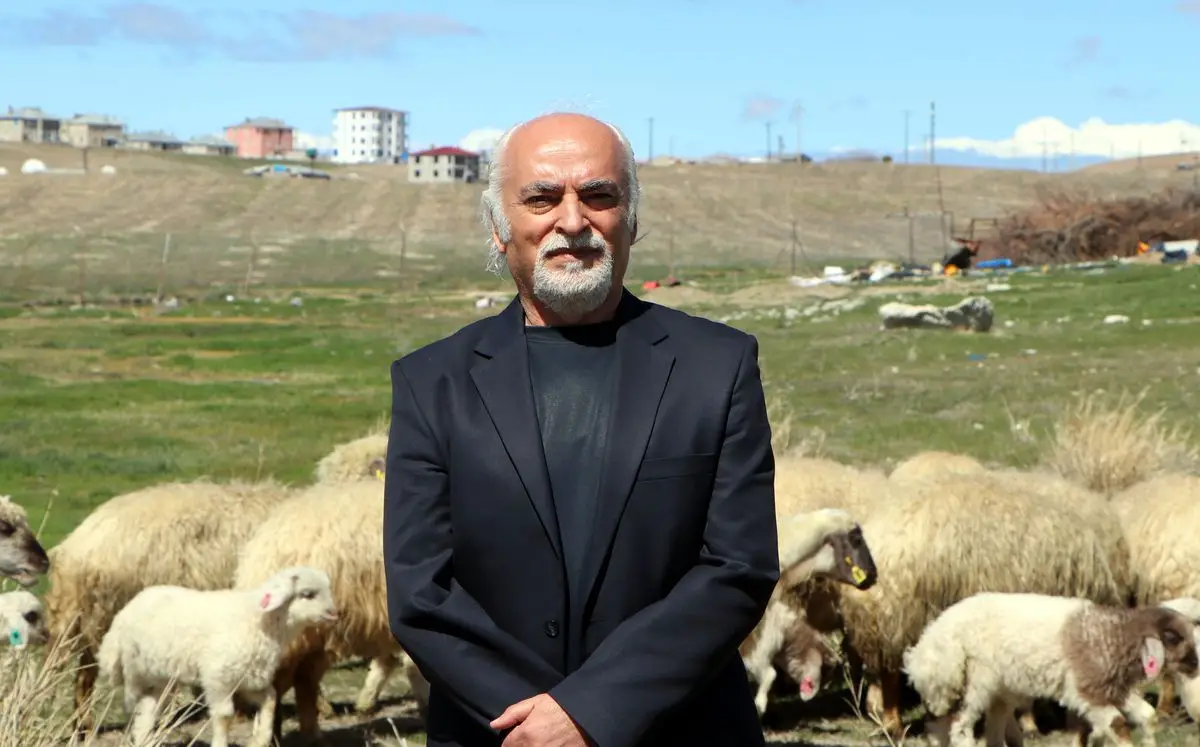 Van’da Nesli Tehlikede Olan Norduz Koyunu İçin Koruma Projesi Hız Kesmeden Sürüyor