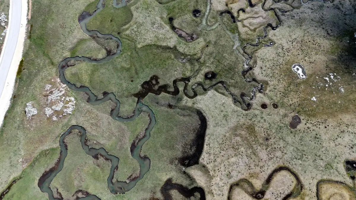 Bolu Sarıalan Yaylası'nda Büyüleyici Su Perileri ve Doğa Şöleni