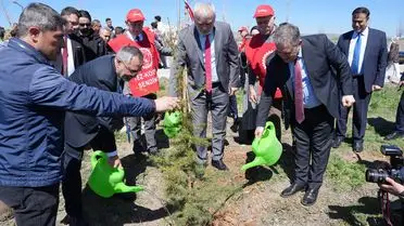Dikilen fidanların yakın çekim fotoğrafı