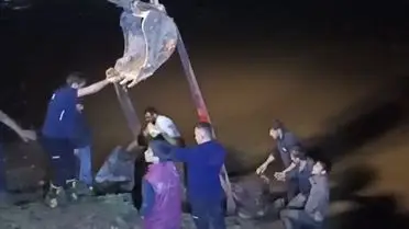 İş makinesiyle inek kurtarılıyor