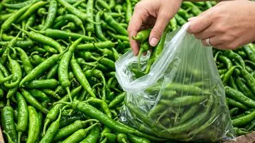 Denetim sırasında çekilen fotoğraf