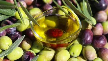 Baktat Zeytin Firması 3 Aylık Geçici Konkordato ile İcra ve Hacizden Korundu