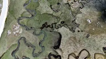 Sarıalan Yaylası'nda akışkan menderesler