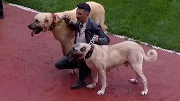 Kangalların sahada yürütülmesi