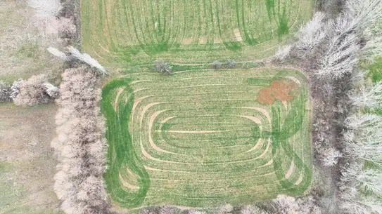 Dron görüntüsüyle tarladaki geometrik desenler