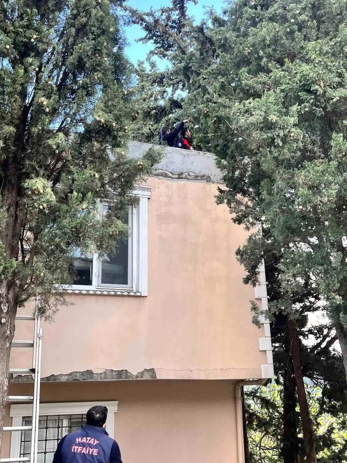 Hatay'da itfaiye ekipleri kediyi kurtarırken