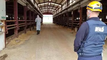 Çorum’da Çiftlikte Gaz Sızıntısı İhbarı ve AFAD’ın Hızlı Müdahalesi