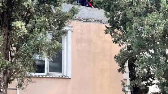 Hatay'da İtfaiye Ekibi Ağacın Üstündeki Kediyi Güvenli Şekilde Kurtardı