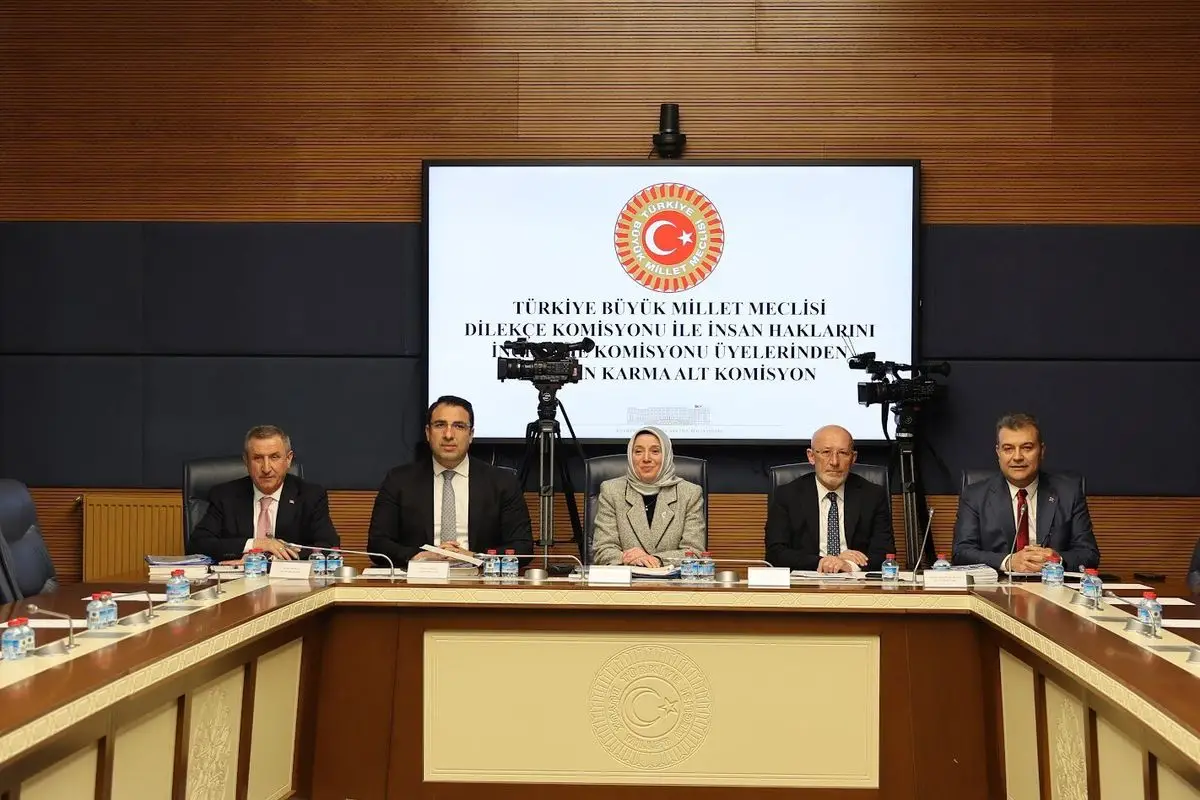 Kamu Denetçisi Balta mahkeme kararları konusunda açıklama yapıyor