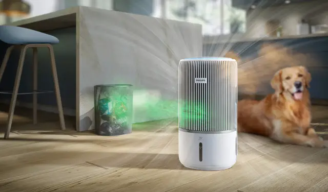 İç mekan hava temizleyici
