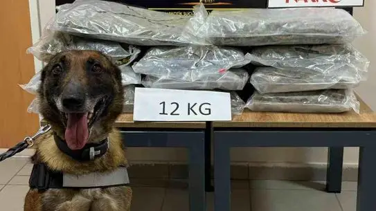 Düzce'de 12 Kilo Skunk Ele Geçirildi: Uyuşturucu Kaçakçısı K.T. Yakalandı
