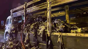 Derince'de Kamyon Yangını: Tekstil Yükü Tamamen Yanarak Kül Oldu