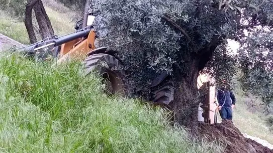 Nazilli'de Kaçak Kazı Felaketi: Göçükte Kalan Kişi Hayatı Kaybetti