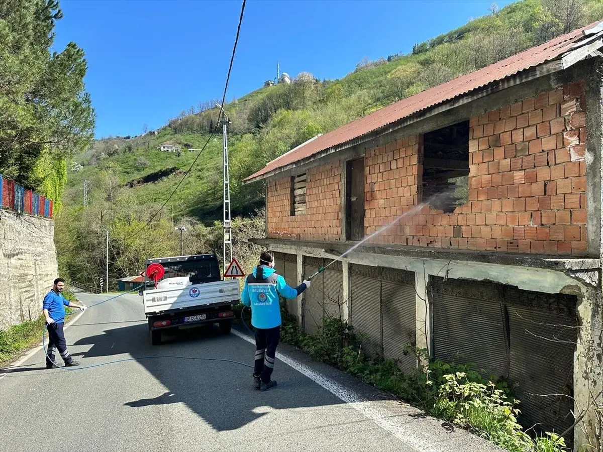Trabzon’da Kahverengi Kokarca İle Mücadele: Belediye ve Tarım Müdürlüğünün Ortak Çözümü