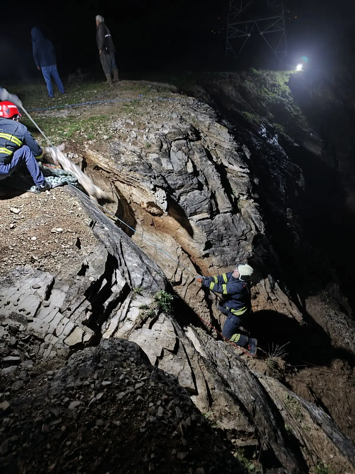 İzmit’te Kaçan Keçeler 3 Saatte İtfaiye Ekipleri Tarafından Kurtarıldı