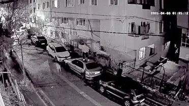 Avcılar’da Kaçak Köpeklerle Mücadele Eden Adamın Komik Anları