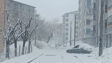 Bitlis’te Şiddetli Kar Yağışı Şehir Merkezini Buz Gibi Kapladı