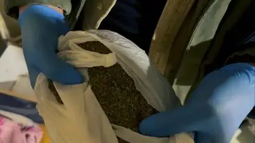 Eskişehir Merkezli Geniş Ölçekli Uyuşturucu Operasyonu 6 İl'de 20 Şüpheliyi Gözaltına Aldı