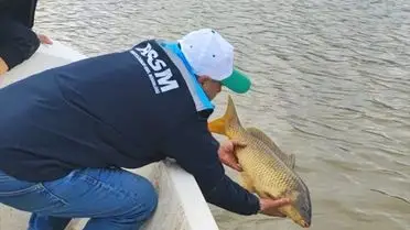 Kırklareli Kayalıköy Barajı'nda Kaçak Avcılık Operasyonu: 650 Metre Ağ ve 94 Bin TL Ceza