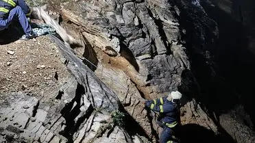 İzmit’te Kaçan Keçeler 3 Saatte İtfaiye Ekipleri Tarafından Kurtarıldı