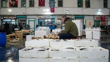 Ege'de Balıkçılar Mart Av Sezonunu Rekor Avlarla Tamamladı