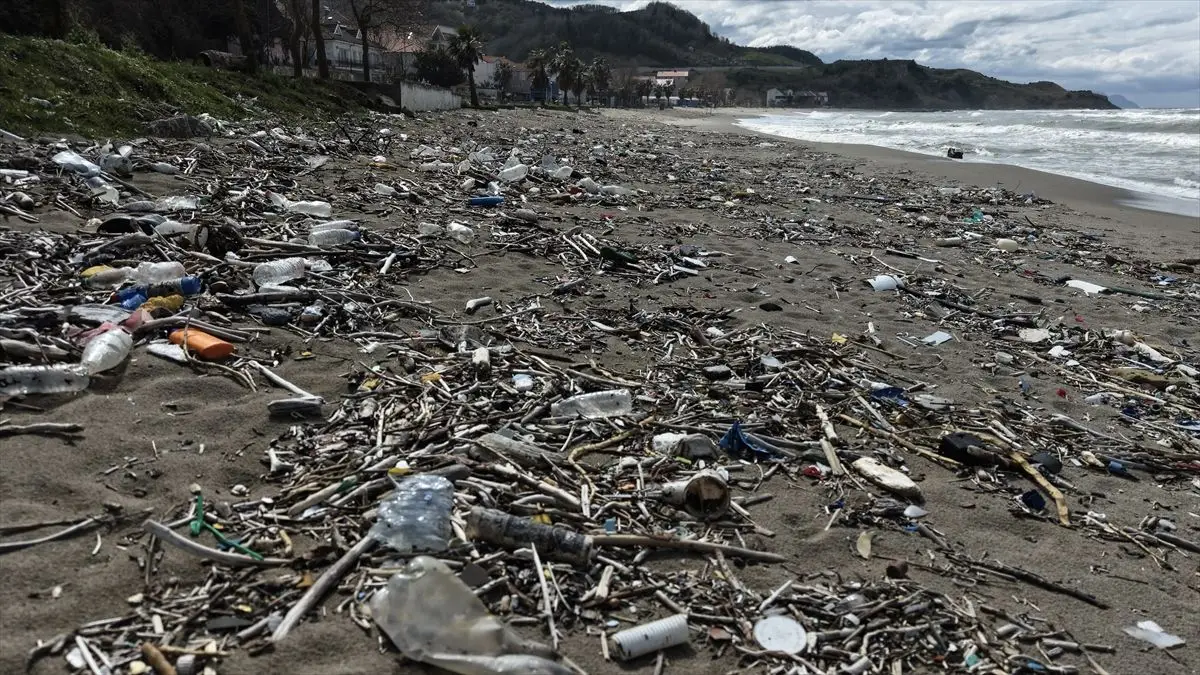Türkeli sahilinde rüzgar sonrası çöp birikintisi