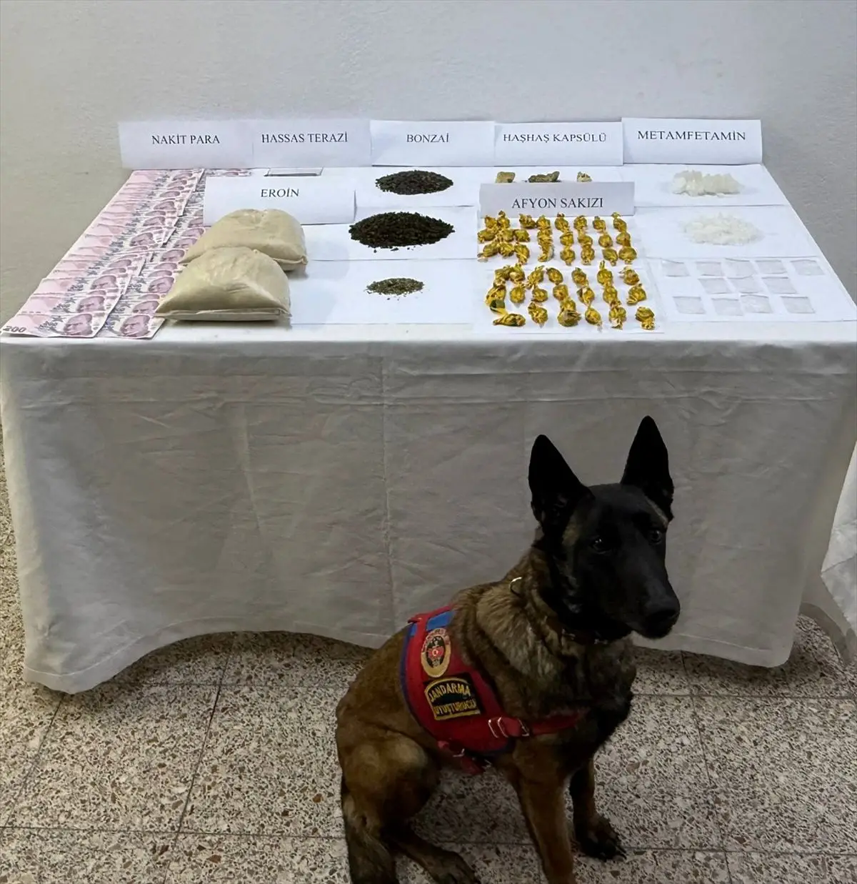 Tokat Yeşilyurt uyuşturucu operasyonu