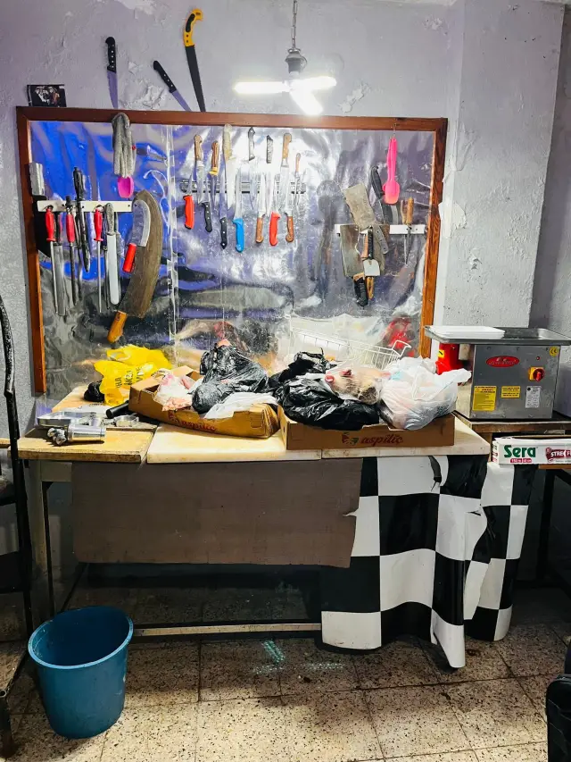 Denetim raporu örneği