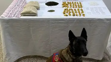 Tokat’ın Yeşilyurt İlçesinde Uyuşturucu Operasyonu: 1 Şüpheli Gözaltında