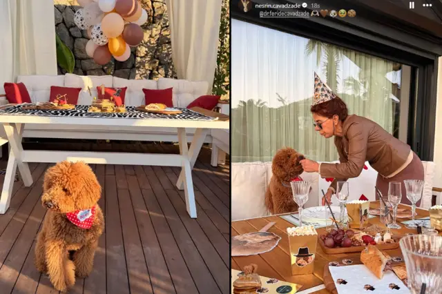 Parti dekorasyonu ve balonlar