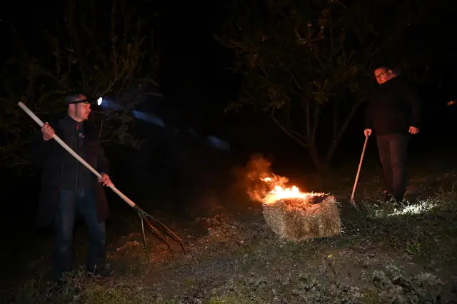 Badem ağaçlarının dumanla korunması