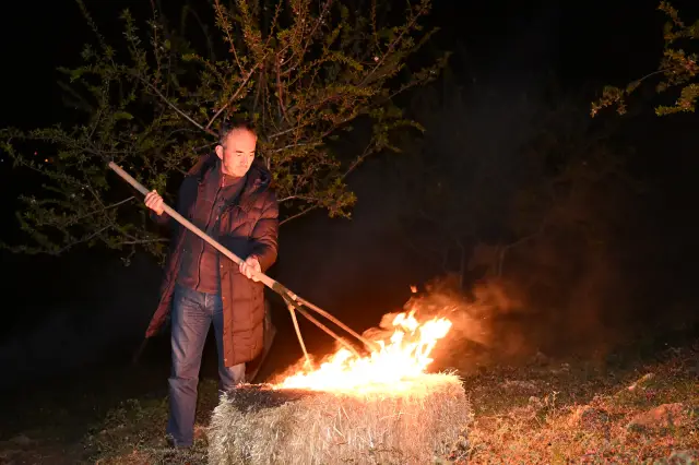 Dumanla korunan badem bahçeleri