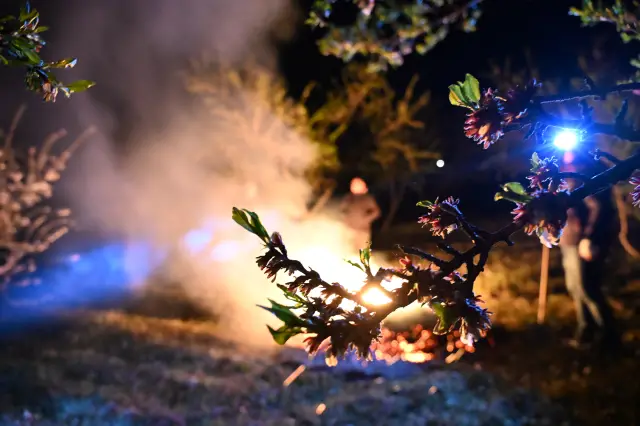 Don nöbeti sonrası bahçelerdeki durum