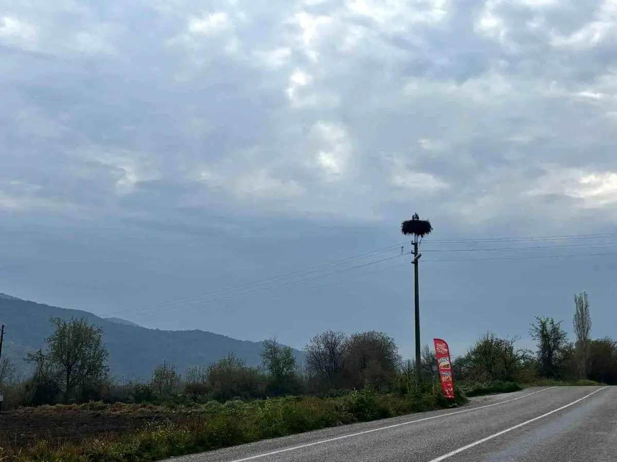 Bozdoğan’da leyleklerin yuvalarına dönüşü