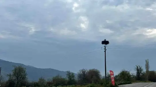Bozdoğan’da Leylekler Geri Döndü, Baharın Müjdecisi Oldu