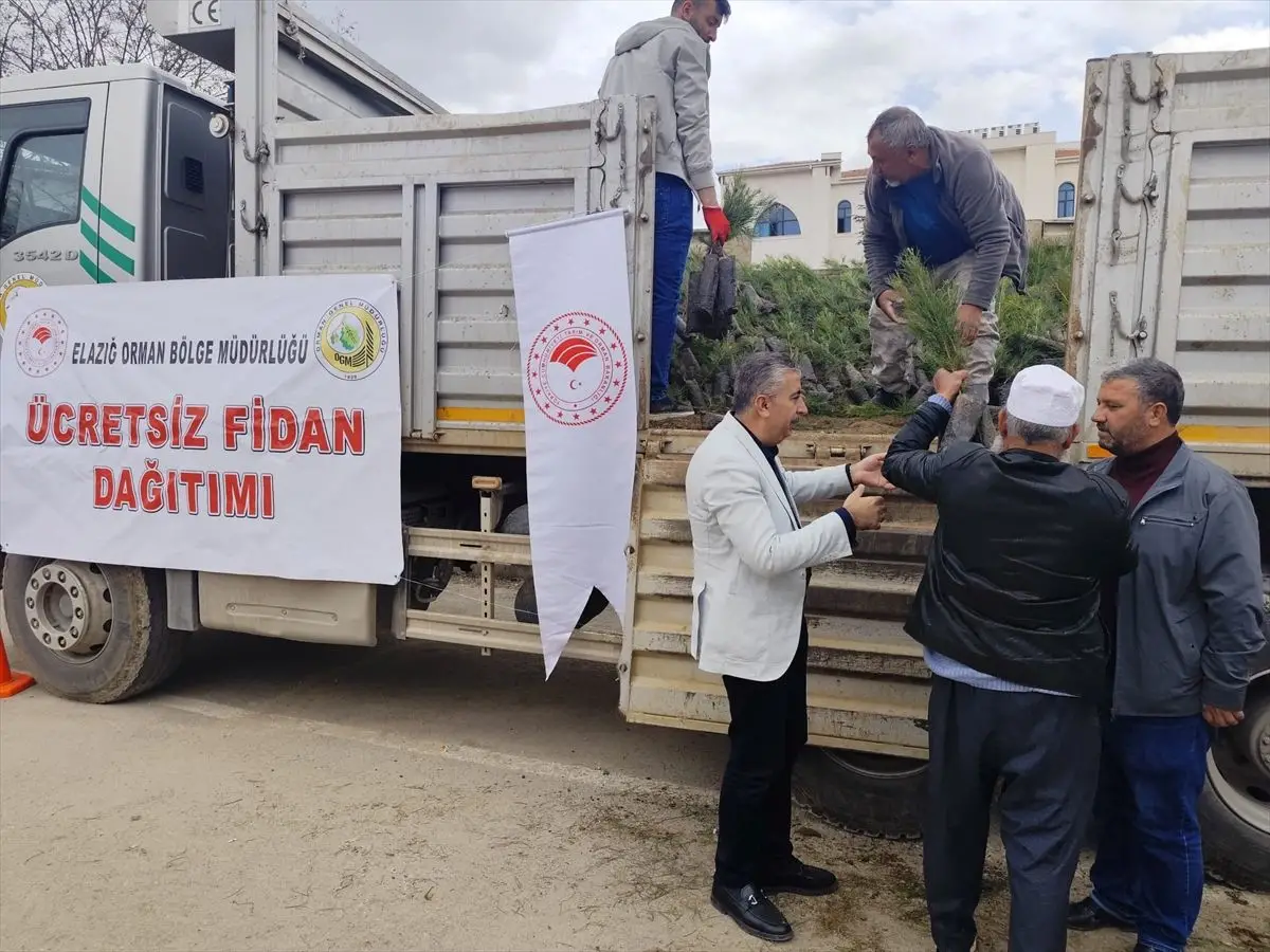 Baskil ilçesinde fidan dağıtım etkinliği