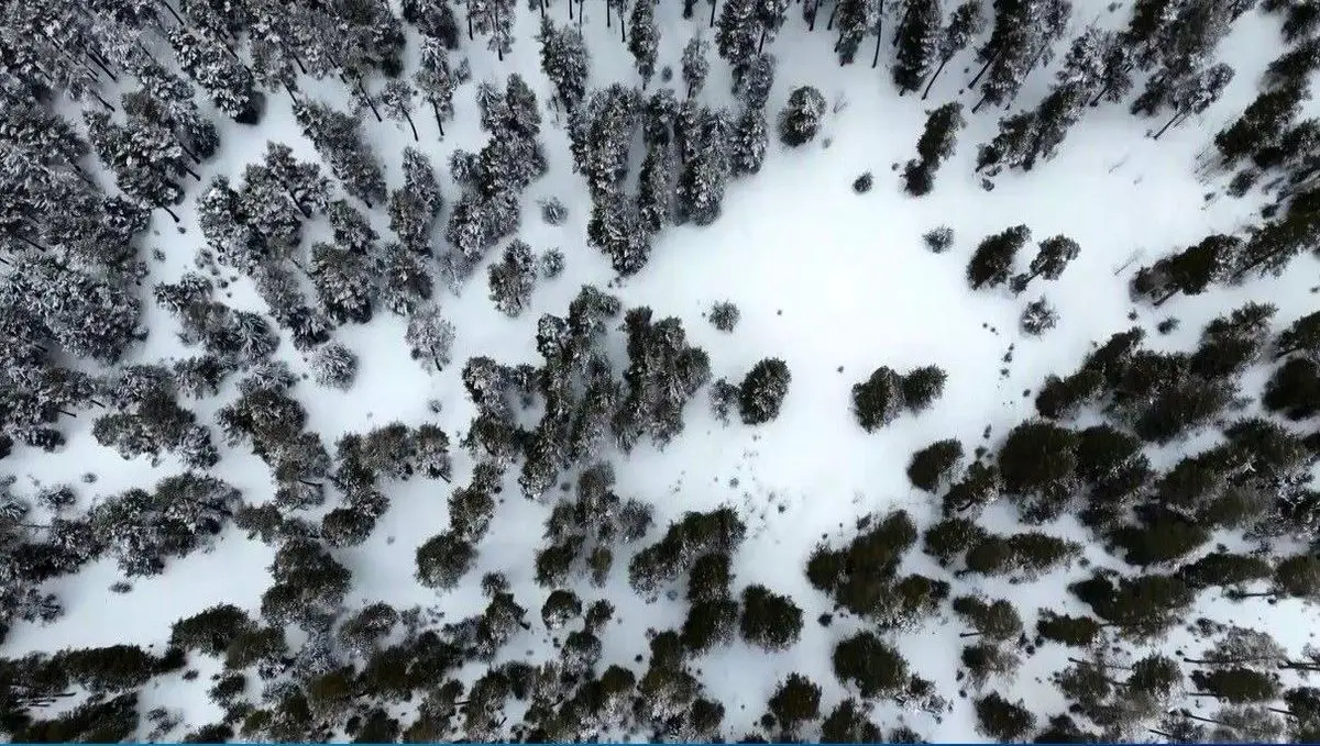 Kars’ta Kar Yağışı Tarım ve Ekonomiyi Nasıl Şekillendiriyor?