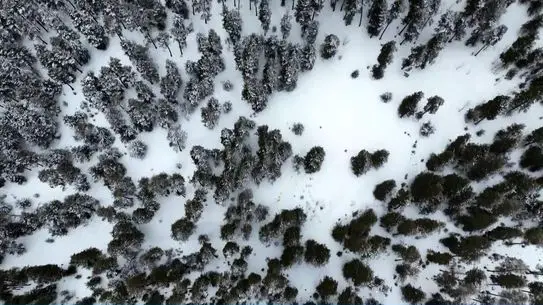 Kars'ta karla kaplı ana manzara