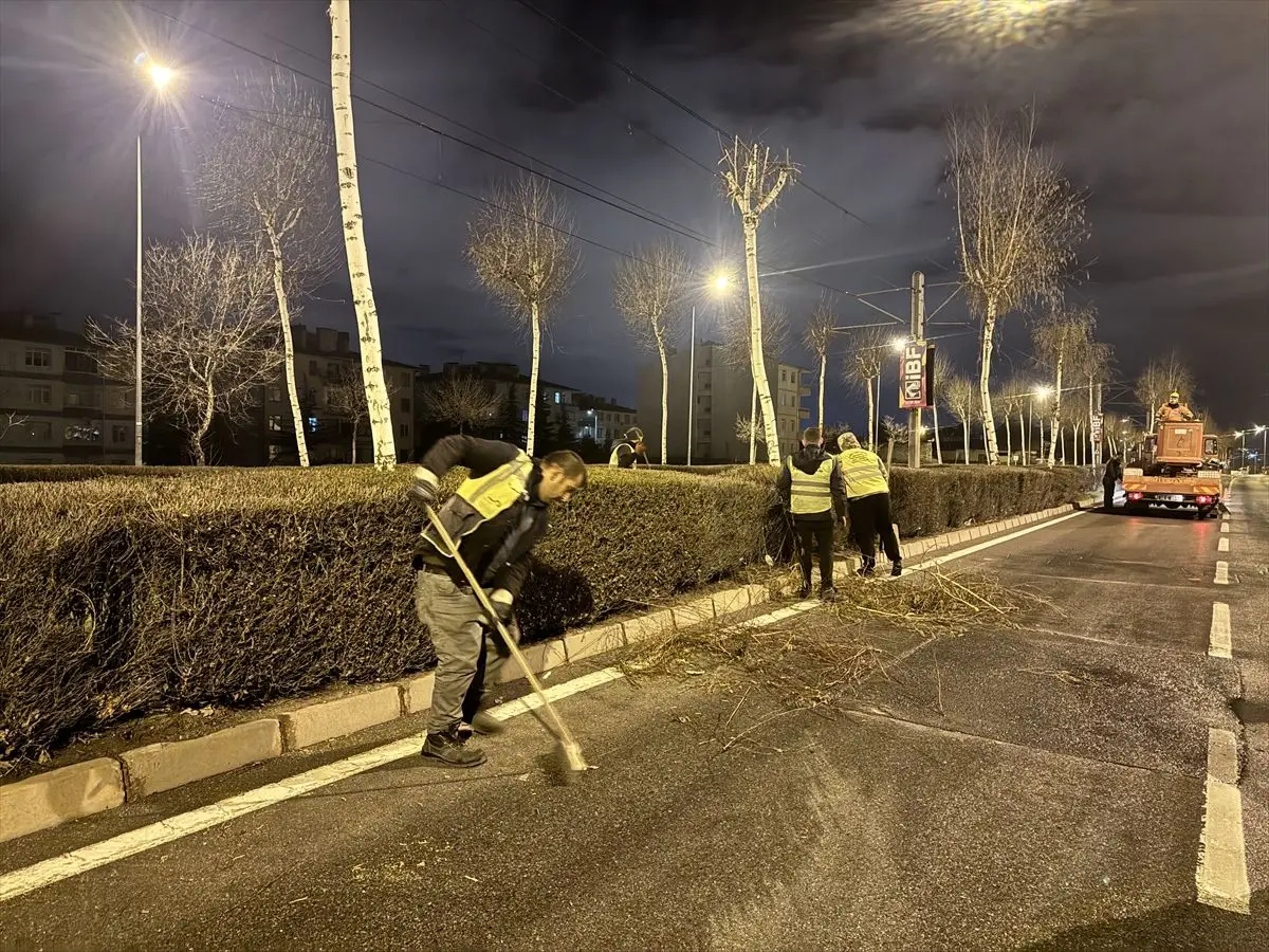 Kayseri raylı sistem yolunda ağaç budama çalışması