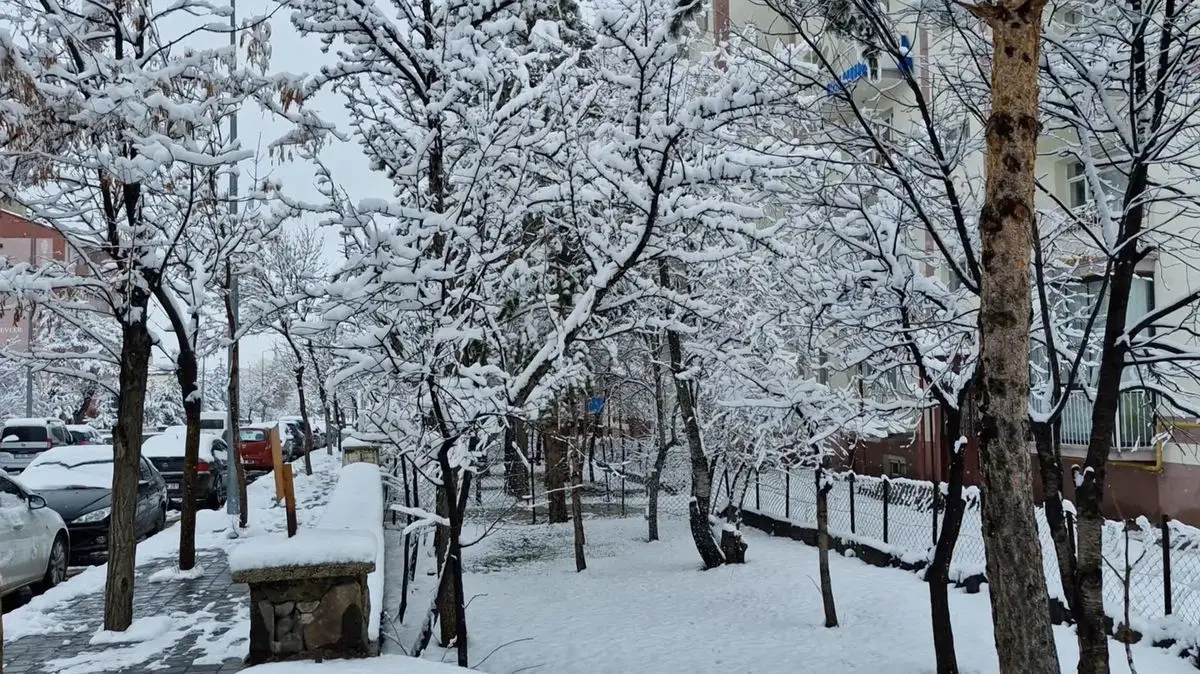 Erzurum ve Ardahan’da yoğun kar yağışı