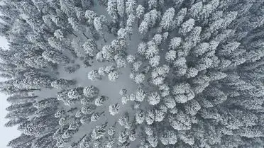 Ilgaz Dağı’nın Büyüleyici Bahar Manzarası ve Dron Görüntüleri