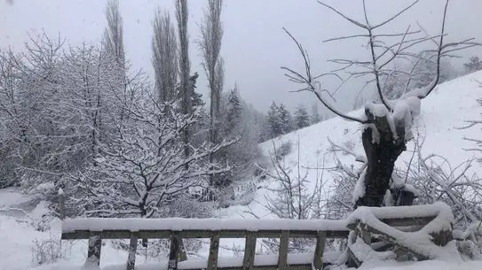 İskilip’te 45 Santimetre Kar Yağışı Şehirde Yol ve Hayatı Etkiledi