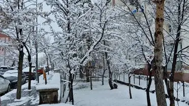 Erzurum ve Ardahan’da Şiddetli Kar Yağışı Yol Kapandı, Zincirleme Kazalar Yaşandı