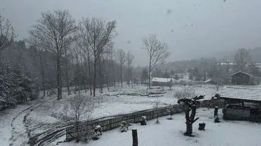 Niksar’da Nisan’da Yağmur Yerine Beyaz Bir Şölen: Kar Yağışı Şehri Kapladı