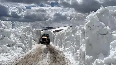 Erzincan’da 4 Metrelik Kar Tabakalarıyla Mücadele: Ekipler 24 Saat Çalışıyor