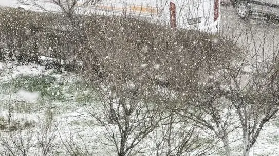 Sivas'ta Şiddetli Kar Yağışı Şehir Sokaklarını Beyaza Döktü