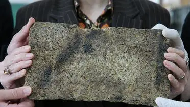 Tokatlı Lise Öğrencileri Şeker Pancarıyla Yalıtım Malzemesi Geliştirerek Finale Kaldı