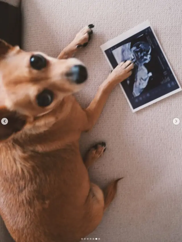 Çiftin bebek beklediği anı yansıtan fotoğraf